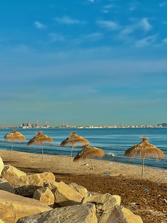 Vibrant coastal scenery featuring straw umbrellas and a distant cityscape at Gammarth Beach, Tunisia.